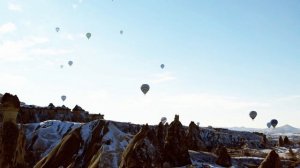 Дети цветов ЛЕОН (Алексей Леонов)