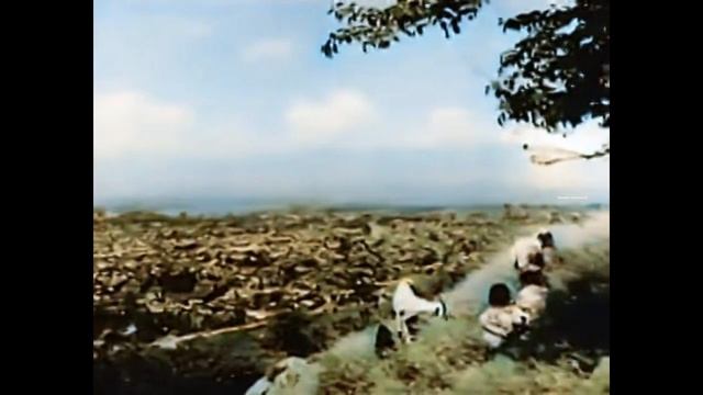 Индийский фильм Амар (1954) Цветная версия