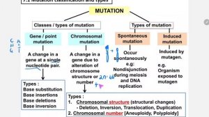 7.1 Introduction_ Mutation classification and types