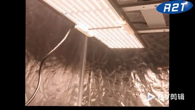 Full Spectrum 480W QP276 LED Grow light Unboxing 3000K/4000K+660/730nm+UVA