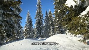 "Ал-анон как товарищество". 9 декабря. День за днем в Ал-анон. Ежедневник для созависимых.