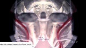 Ожирение и как от него избавиться