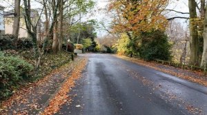 12687892_3840_2160_30fps