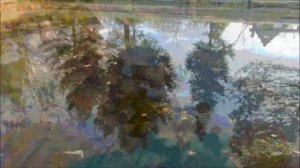 Алые пре и Ассолька