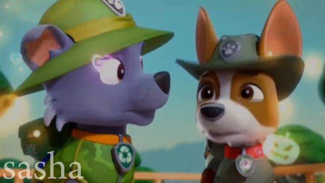 💝🌅tracker & skye💝🌅 смотреть онлайн