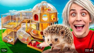 Построили ДОМ МЕЧТЫ ЗА 100.000 доларов для ЕЖА! *Новый участник команды А4*