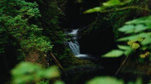 19157879-uhd_3840_2160_30fps