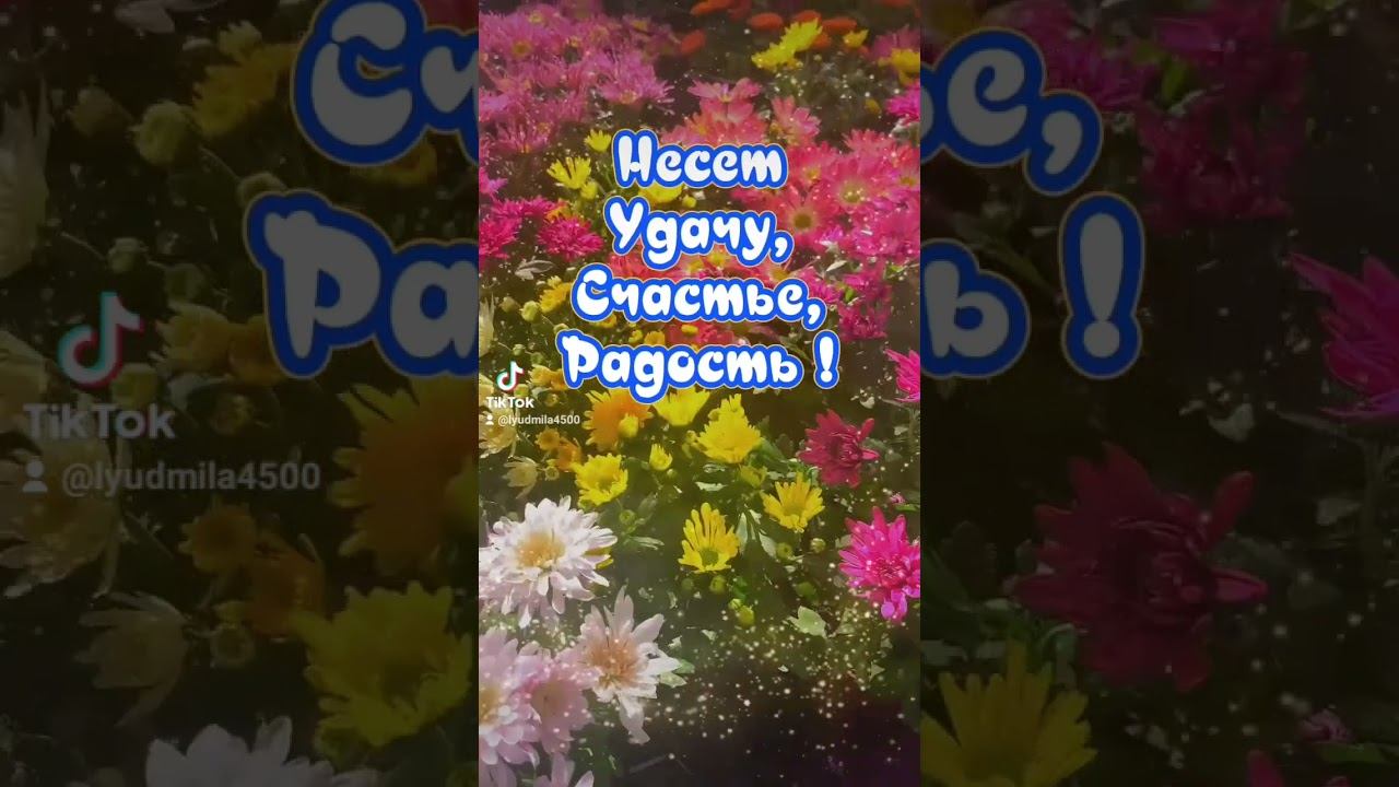 Доброе утро ! #доброеутро #пожеланиедлядрузей #открытки #пожелания #цитаты