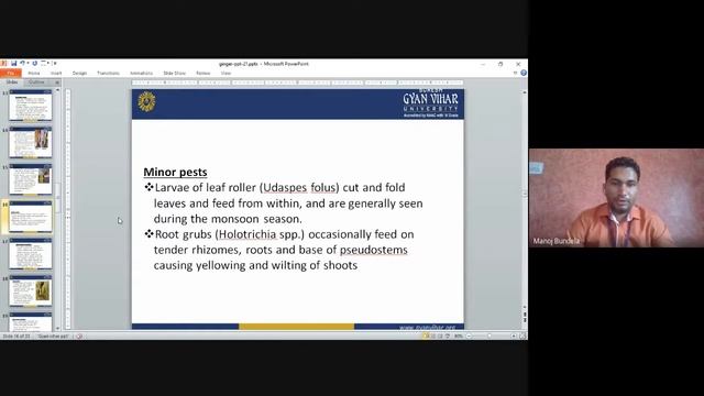 Production Technology of Ginger and Turmeric lecture by Mr. Manoj Kr. Bundela смотреть онлайн