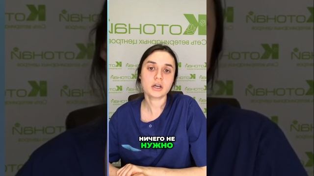 Кормление питомцев | как правильно управлять терапией