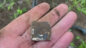 Лесной коп!Монеты и грибы!