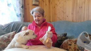 ПОЕХАЛИ В ГОРОД ПО ДЕЛАМ, ЗАШЛИ В "ПЯТЕРОЧКУ" ЗА КАПУСТОЙ ДЛЯ КУРОЧЕК.