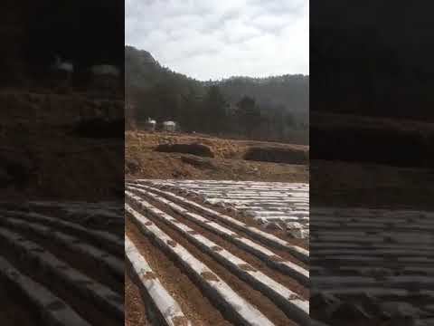 Работа в Корее. Картошка 2019 смотреть онлайн