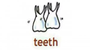 How to Pronounce Teeth in British English