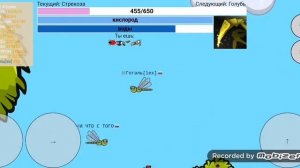 Fly or Die.io - от мухи до смерти один шаг