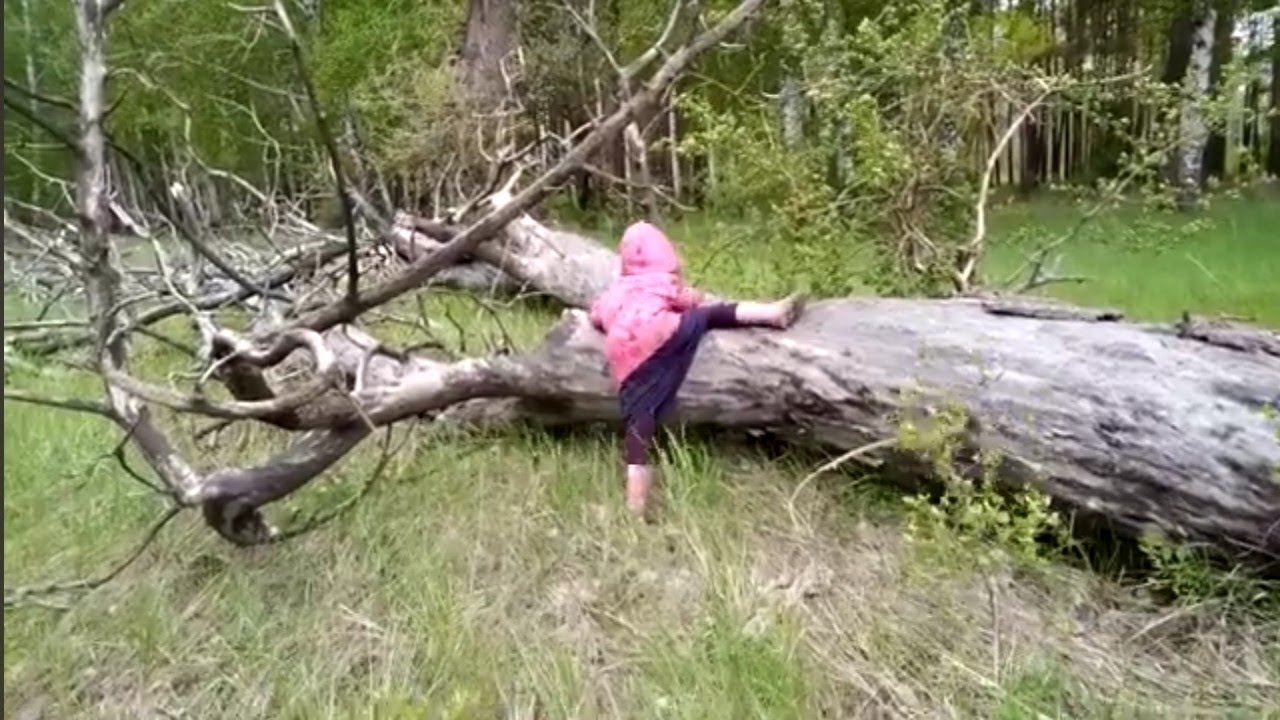 Покоряя бурелом