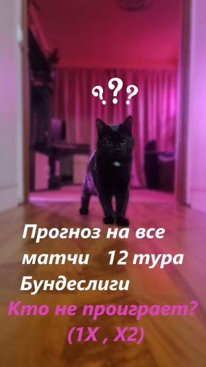 Прогноз на 12 тур Бундеслиги