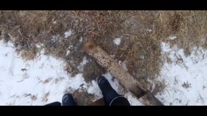 самы первый влог|ВЛОГ