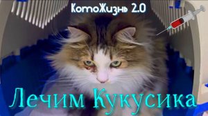 Лечим Кукусика