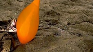 Искривление времени 2 сезон 6 серия (документальный сериал, 2008-2009)