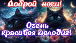 #Музыка_для_души❣️Пожелания доброй ночи❣️счастья💪здоровья🌞хорошего настроения🐱Красивые милые котики