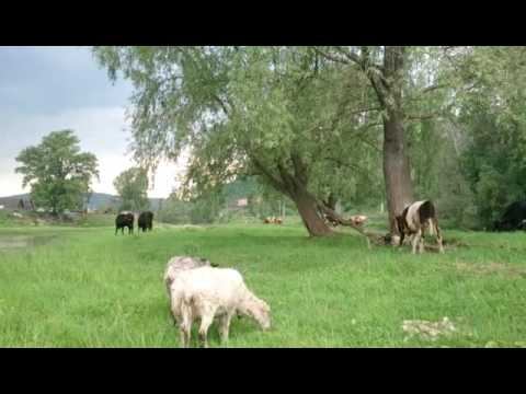 Миньяр значимая природа Флора и Фауна 2016