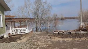 Уральск - Чаган в Асане!!! ORLOVE - Море синее!!! 02.04.2024