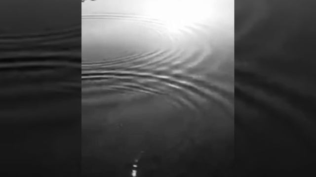 Interference of Water Waves (Demo)