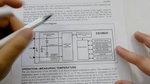 Termometr DS18B20 | #55 [Arduino]