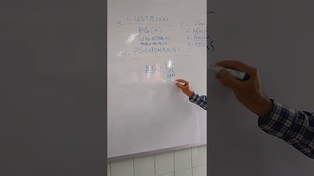 Bacillus; Corynebacterium; Clostridium y Pseudomona смотреть онлайн