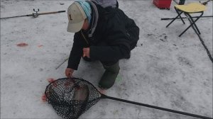 Работает донная снасть. Клёвое место, Лосиный остров, нижний водоём.