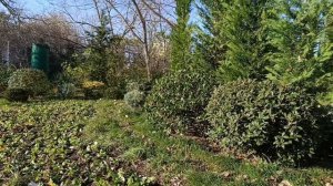 Анапская Осень🍁 🍁 🍁 
до свидания !
30.11.2024.