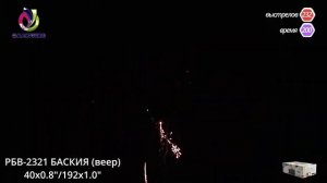 Баския (0,8-1х232) РБВ 2321