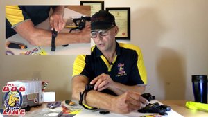 Dog Training Collar Review - Petsafe Little Dog Remote Trainer PDT17-13471 Unboxing