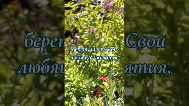 Кровь Христа ходатайствует с большой силой | Эллен Уайт о Боге, спасении и вечности