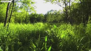 #Islam#Quran#AlFurqan#ٌMinshawiy#Коран#АльФуркъан#СамыеКрасивыеМеста#Relaxation#4кВиде#5часть#