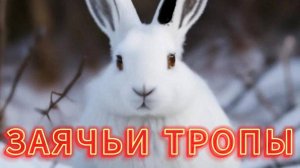 ЗАЯЧЬИ ТРОПЫ / АУДИОКНИГА ДЛЯ ДЕТЕЙ / короткие рассказы для детей