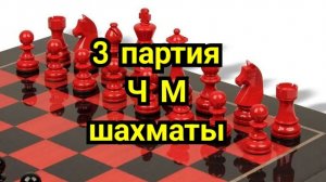 3-я партия матча за мировое первенство, 2024г., Сингапур.