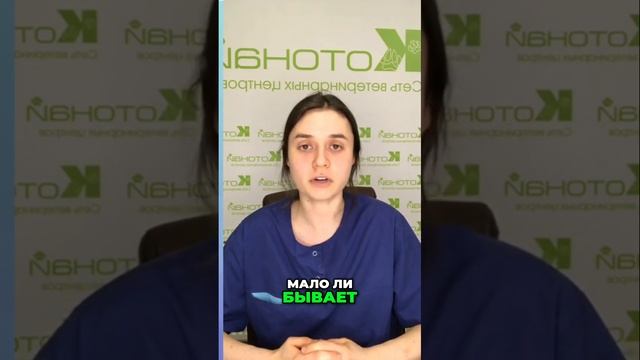 Как стресс влияет на анализы| диагностика для котов