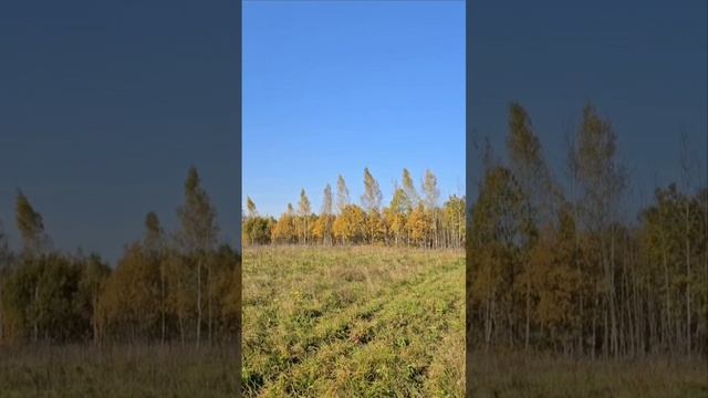 люди часто говорят , мол ,тот или другой нашёл себя Но себя мы не находим, себя мы создаём