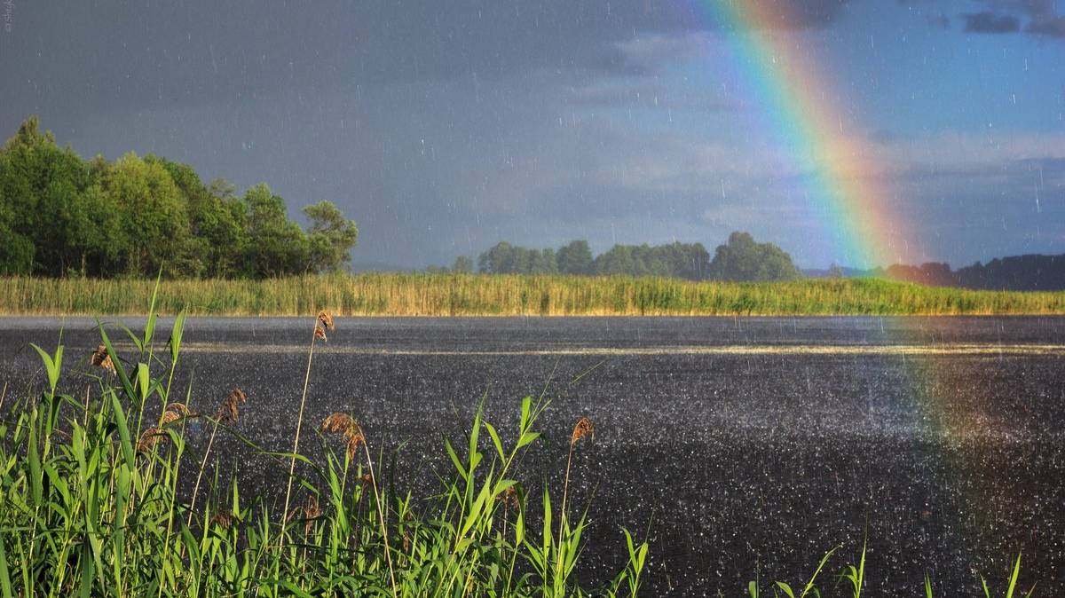Шум дождя. Звуки для релаксации. смотреть онлайн