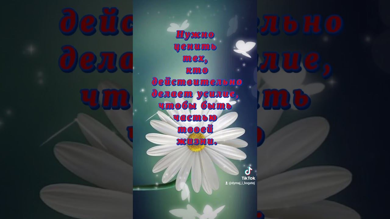 Цитаты про жизнь. Цитаты со смыслом. Аффирмации. Красивое видео для сторис смотреть онлайн