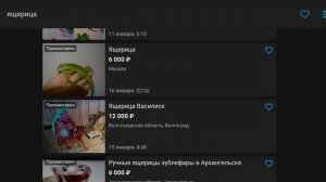 хочу ящерицу