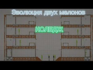 Эволюция двух мелонов КОЛЕДЖ Melon playground