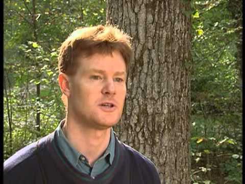 arten eng смотреть онлайн