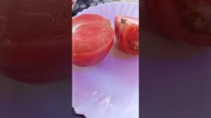 дегустация томата - картофельный малиновый