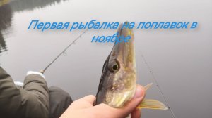 Рыбалка на поплавок в болоте