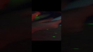 Битва с хаги-ваги требум и паук ищут себе укрытие