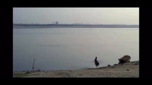 Реальная цена моды / The True Cost (2015) источник https://ok.ru/video/89176083027