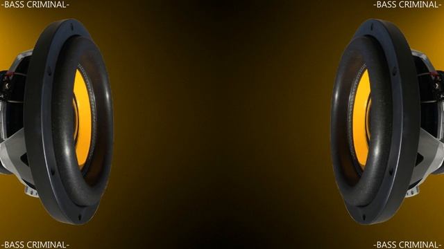 LOW DEEP BASS TEST ULTRA 9991HZ 9991 WATT